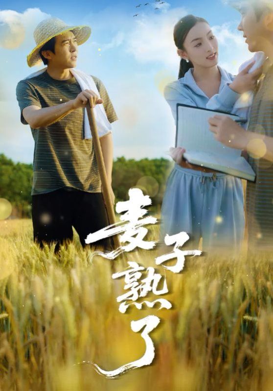 麦子熟了