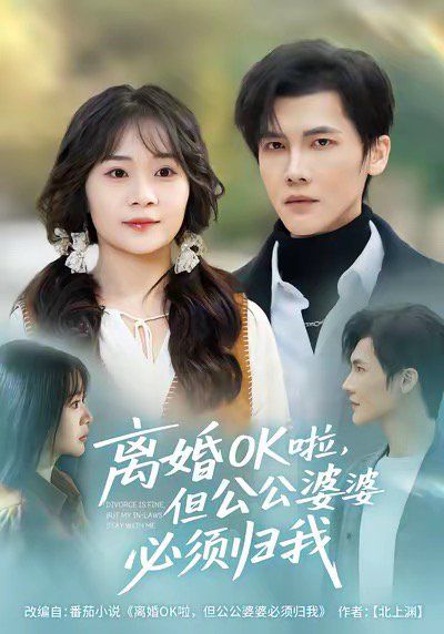 离婚OK啦，但公公婆婆必须归我